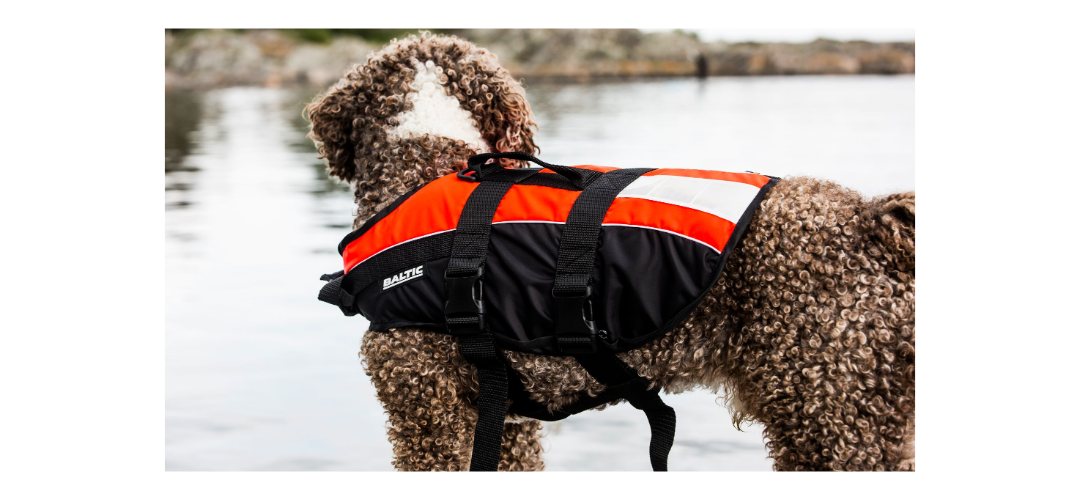 Pet Buoyancy Aids