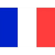 France Courtesy Flag