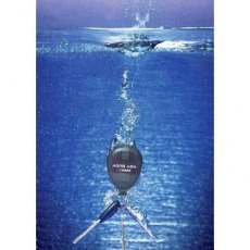 Davis Key Buoy Self Inflating Keyring