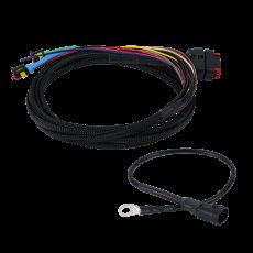 Wakespeed Wakespeed Advanced Wiring Harness (Negative) with Temp Sensor
