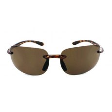 Evolution Novara (Brown) Evolution Novara (Brown)