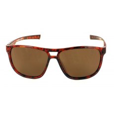 Evolution Bayport (Tortoise) Evolution Bayport (Tortoise)