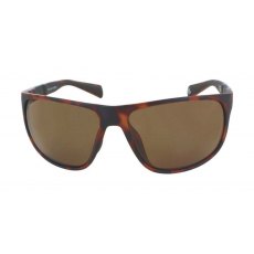 Evolution Coast (Tortoise) Evolution Coast (Tortoise)