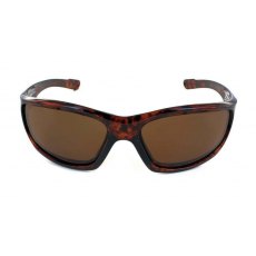 Evolution Latitude (Tortoise) Evolution Latitude (Tortoise)