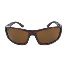 Evolution Rockport (Tortoise) Evolution Rockport (Tortoise)