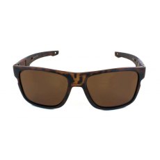 Evolution Slide (Brown) Evolution Slide (Brown)