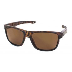 Evolution Slide (Brown) Evolution Slide (Brown)