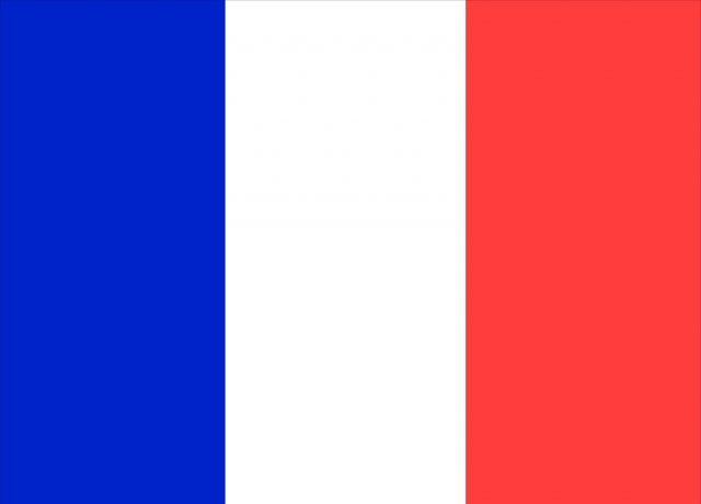 Meridian Zero France Courtesy Flag