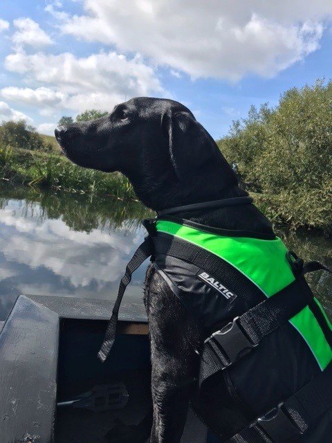 Baltic Dog Pet Buoyancy Aid Mascot TCS Chandlery