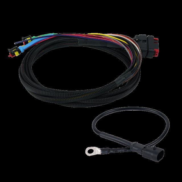 Wakespeed Wakespeed Advanced Wiring Harness (Negative) with Temp Sensor