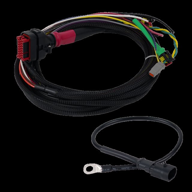 Wakespeed Wakespeed Advanced Wiring Harness (Positive) with CAN