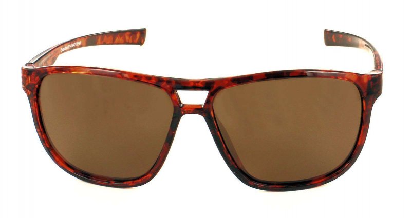 Evolution Eyewear Evolution Bayport (Tortoise)