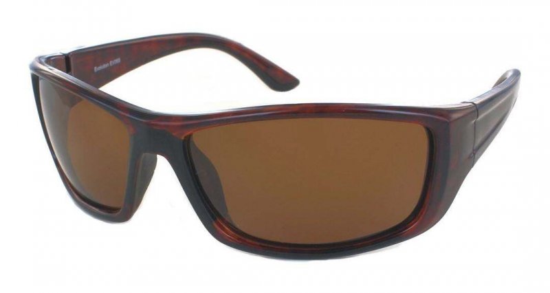 Evolution Eyewear Evolution Rockport (Tortoise)
