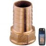 Guidi Guidi Brass Hose Connector F 1 in 1/2 x 50 mm