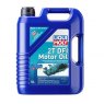 LIQUI MOLLY 2T DFI Motor Oil