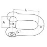 TCS Chandlery D Shackle - Socket Head Stainless Steel A4 COPY