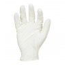Blackrock Powdered Disposable Gloves Bag 10pcs - size 10/XL