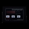 Merlin Power Merlin Power SmartGauge 12/24V