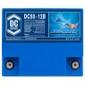 Fullriver Battery DC Series Battery 12V 50Ah (DC50-12B)