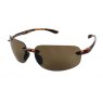Evolution Novara (Brown)
