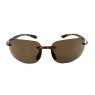 Evolution Novara (Brown)