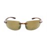 Evolution Eyewear Evolution Rivello