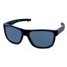 Evolution Slide (Grey)