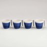 Flamefield  Flamefield 4Pk Mug Azure